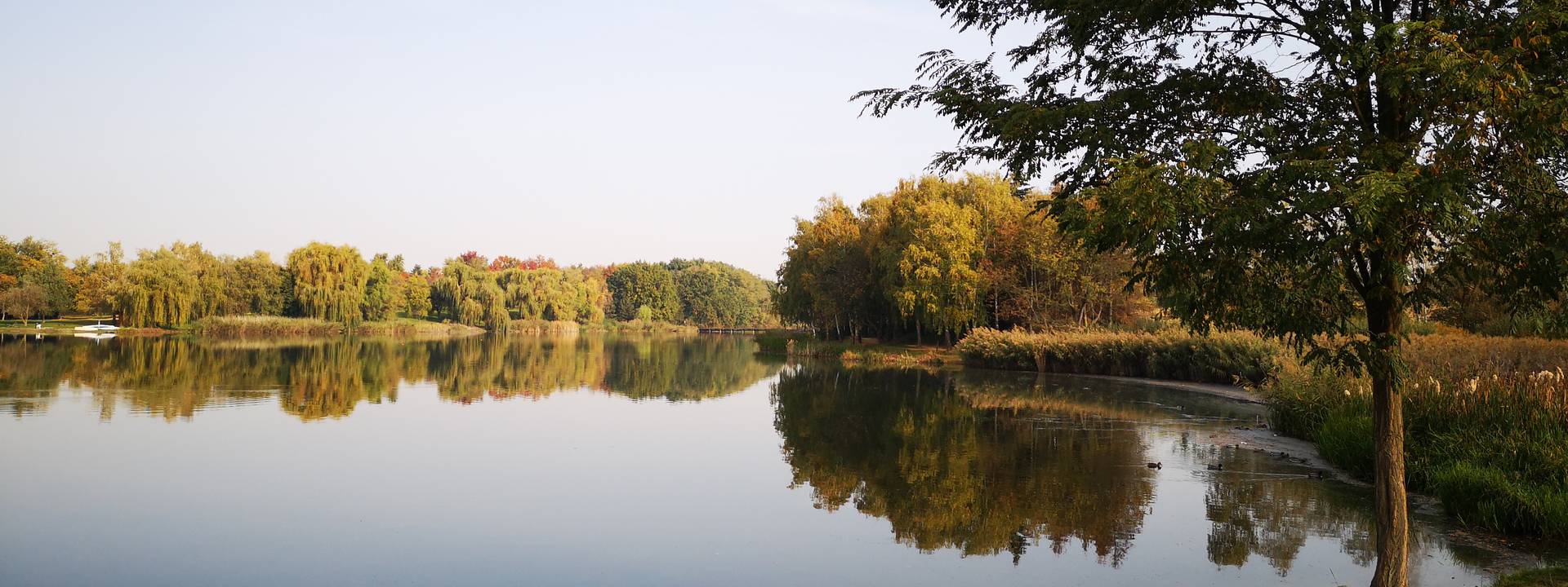 2019. szeptember 24. - Hogyan intzd eredmnyesen a hivatalos gyeidet gy, hogy kzben ne robbanj fel? - Stresszmentes hivatalos gyintzs kommunikcis alapjai - ELADS